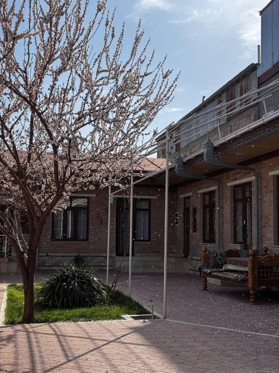 סמרקנד Salomat Guest House מראה חיצוני תמונה